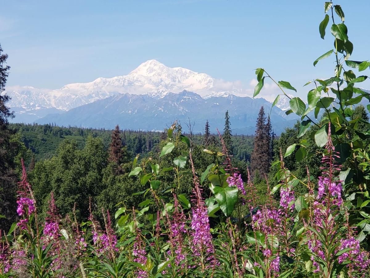 Denali Wild Stay - Moose Cabin, Free Wifi, 2 Private Bedrooms, Sleep 6 Хийли Екстериор снимка