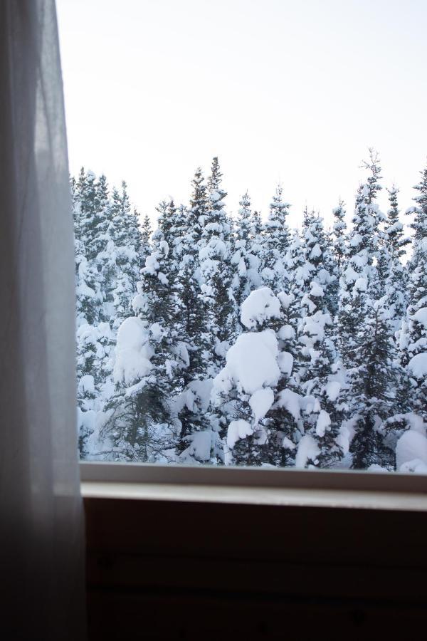 Denali Wild Stay - Moose Cabin, Free Wifi, 2 Private Bedrooms, Sleep 6 Хийли Екстериор снимка